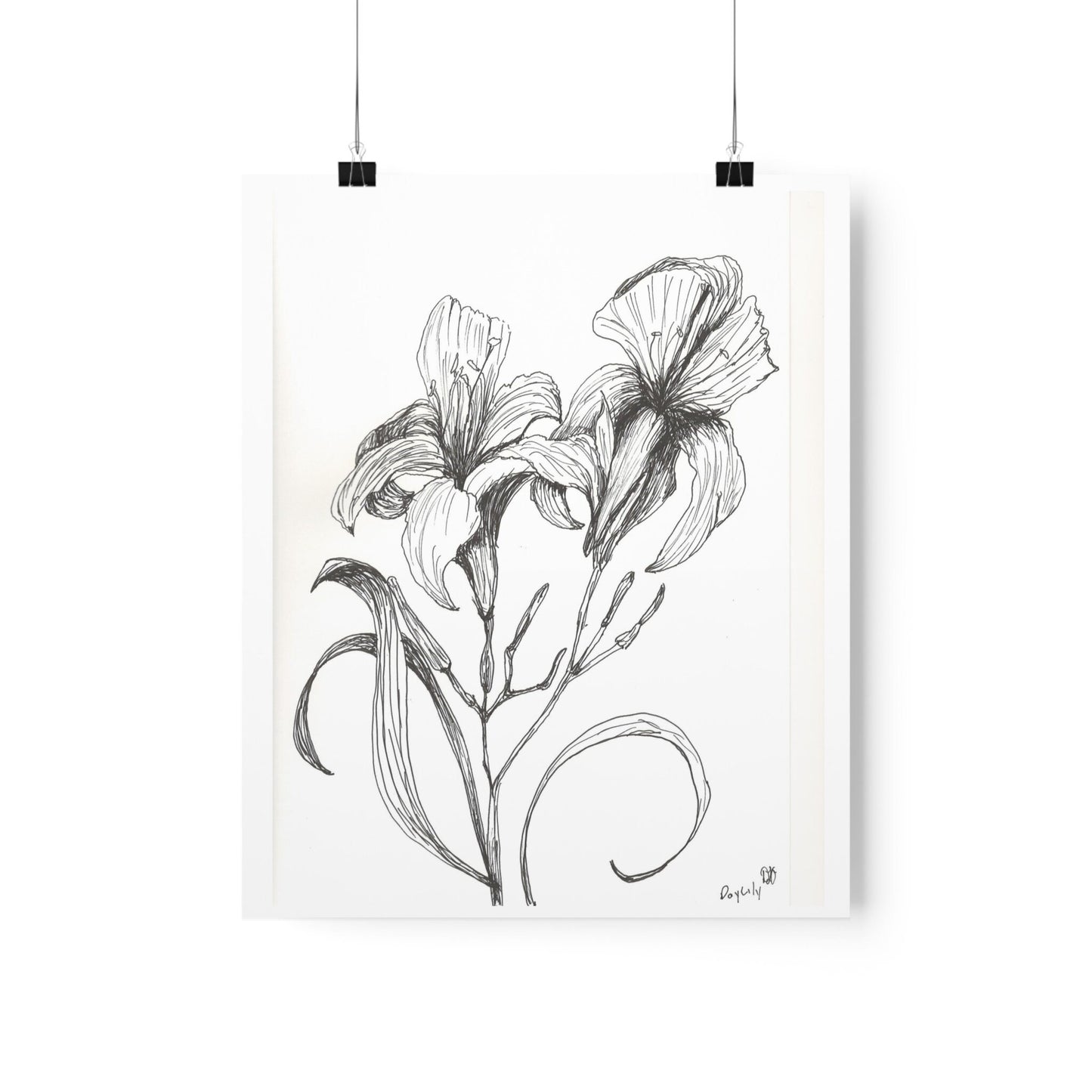 Premium Matte Vertical Posters with My Original Ink Drawing of Iris, Available in 7 Sizes, Ink Drawing, Botanical Art, Floral Drawing