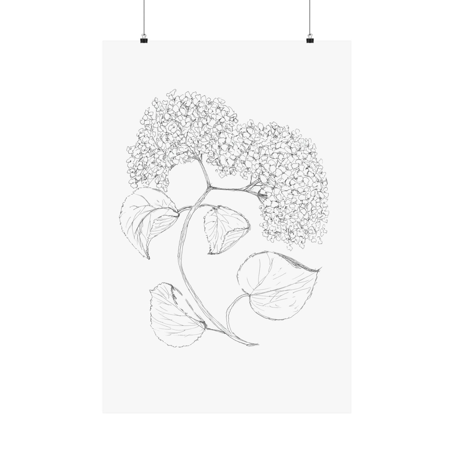 Print of Hand Drawn Hydrangea in Black Ink Pen  Matte Vertical Posters