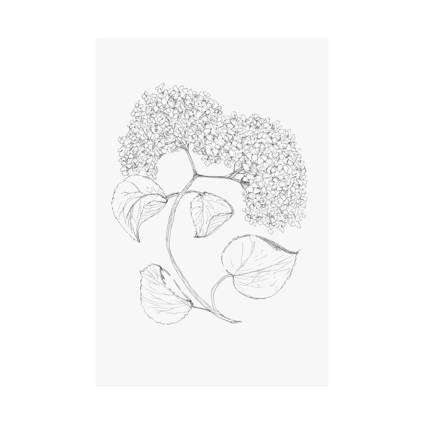 Print of Hand Drawn Hydrangea in Black Ink Pen  Matte Vertical Posters