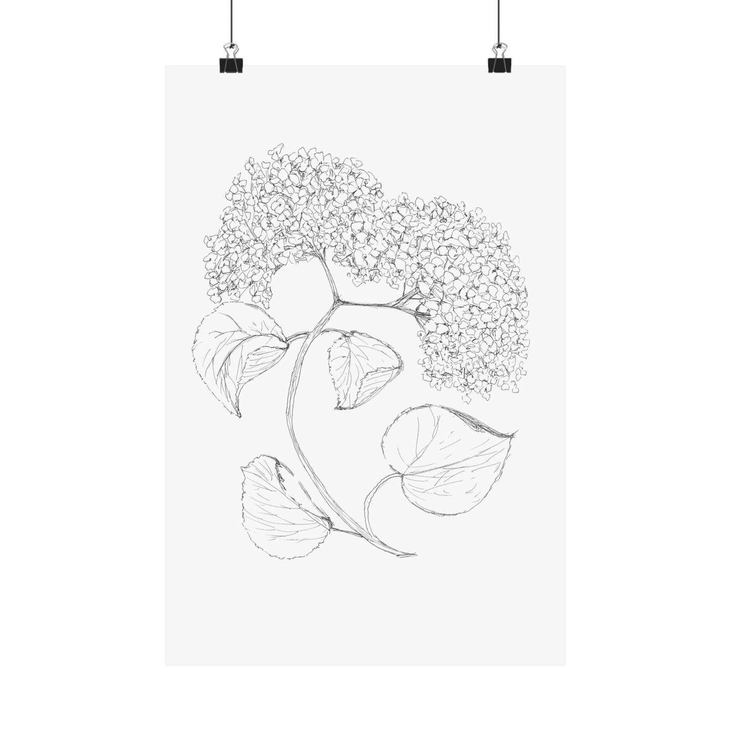 Print of Hand Drawn Hydrangea in Black Ink Pen  Matte Vertical Posters