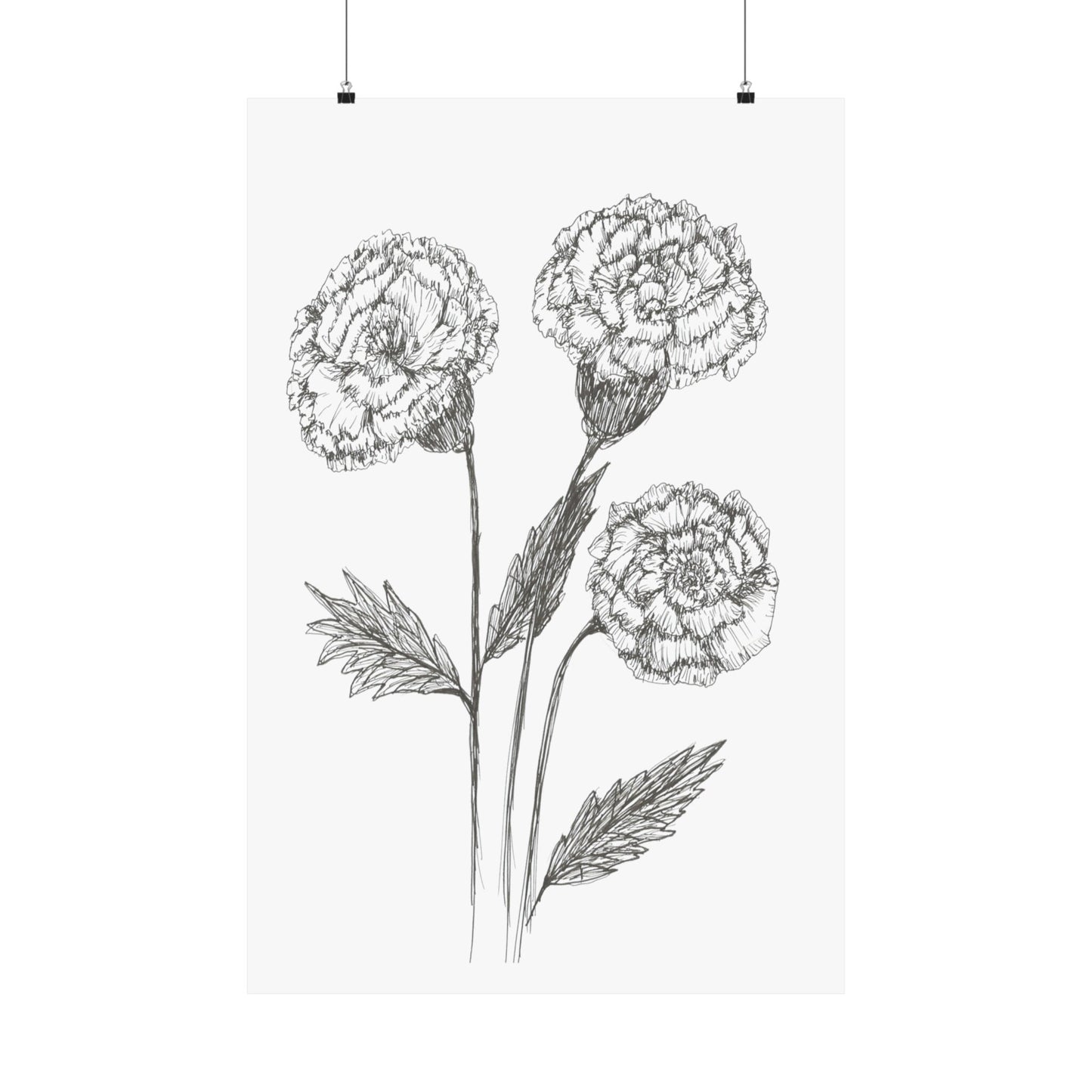 Matte Vertical Posters. Hand Drawing if Carnations, Original Ink Botanical Drawing, Minimalist, Line Drawing,Various Sizes