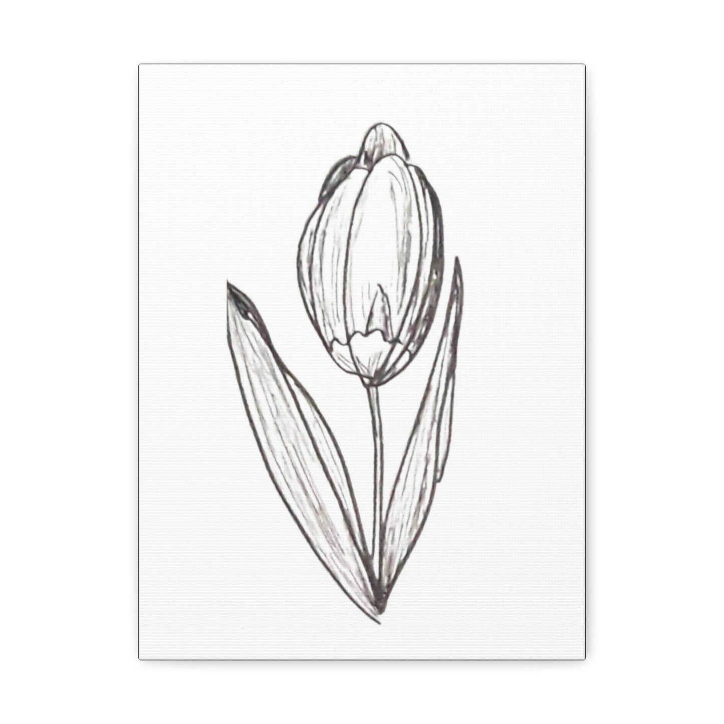 Canvas Gallery Wraps with Print of Hand Drawn Tulip with Ink Pen, Pretty Spring Summer, Simple Minimalist Artwork. Botanical Art