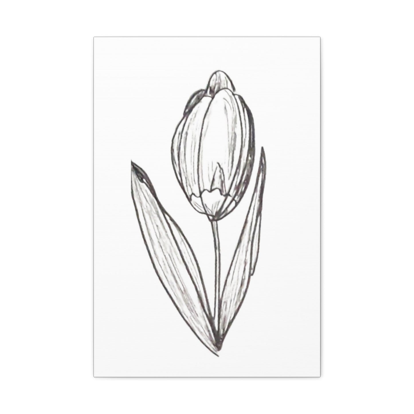 Canvas Gallery Wraps with Print of Hand Drawn Tulip with Ink Pen, Pretty Spring Summer, Simple Minimalist Artwork. Botanical Art