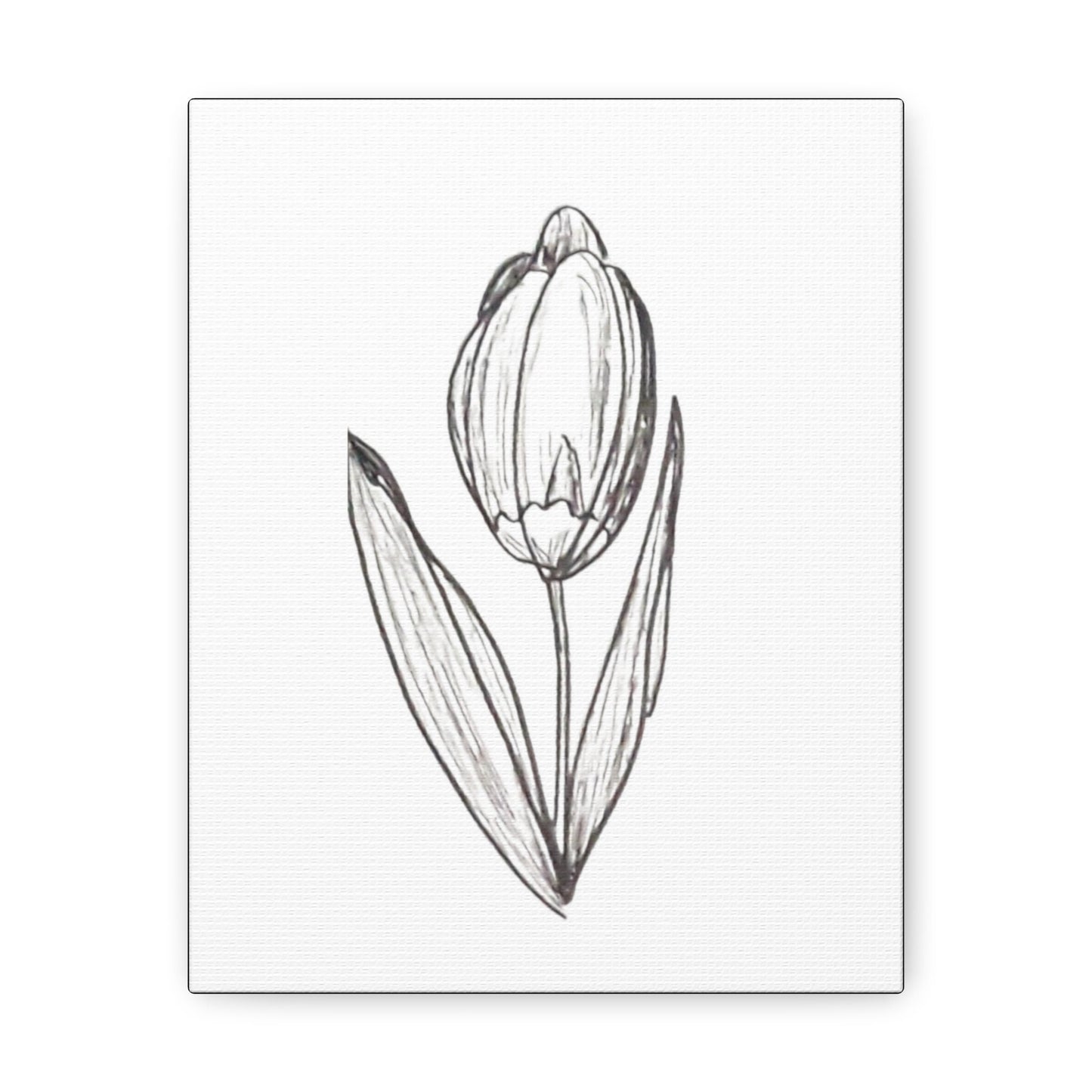 Canvas Gallery Wraps with Print of Hand Drawn Tulip with Ink Pen, Pretty Spring Summer, Simple Minimalist Artwork. Botanical Art