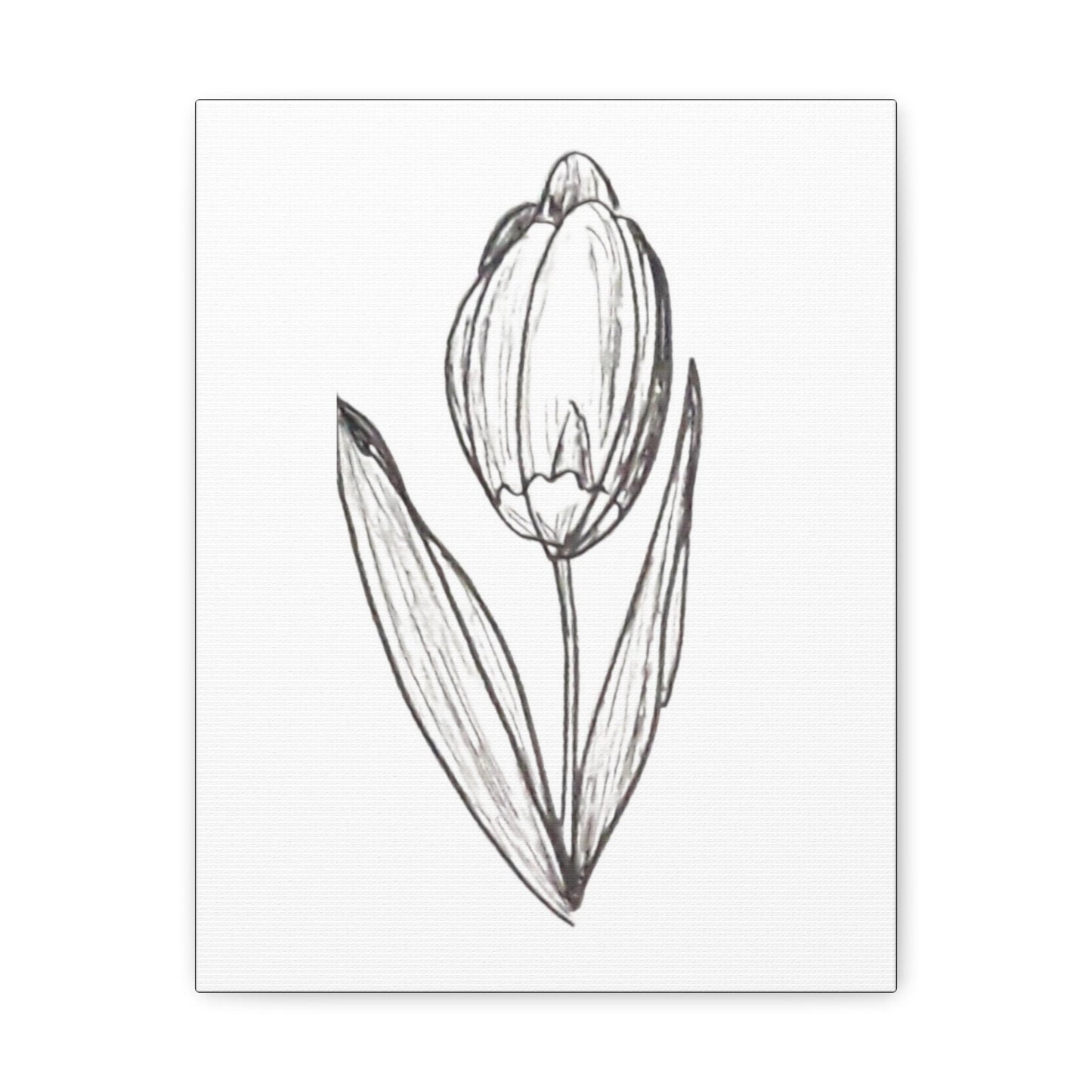 Canvas Gallery Wraps with Print of Hand Drawn Tulip with Ink Pen, Pretty Spring Summer, Simple Minimalist Artwork. Botanical Art