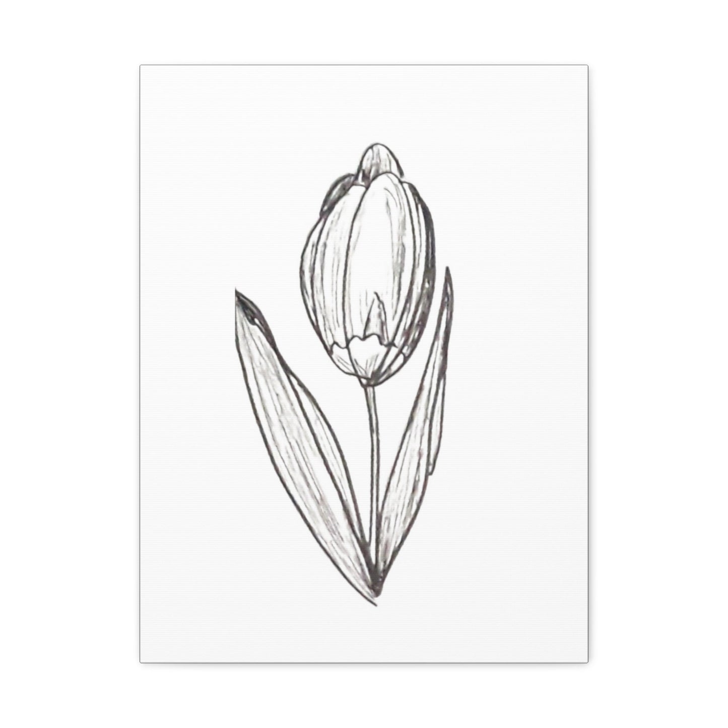 Canvas Gallery Wraps with Print of Hand Drawn Tulip with Ink Pen, Pretty Spring Summer, Simple Minimalist Artwork. Botanical Art