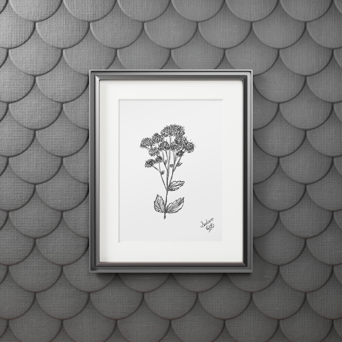 Fine Art Prints (Passepartout Paper Frame) Original Botanical Art Ink Drawing, Line Art, Minimalist, Nature Art, Garden Flowers