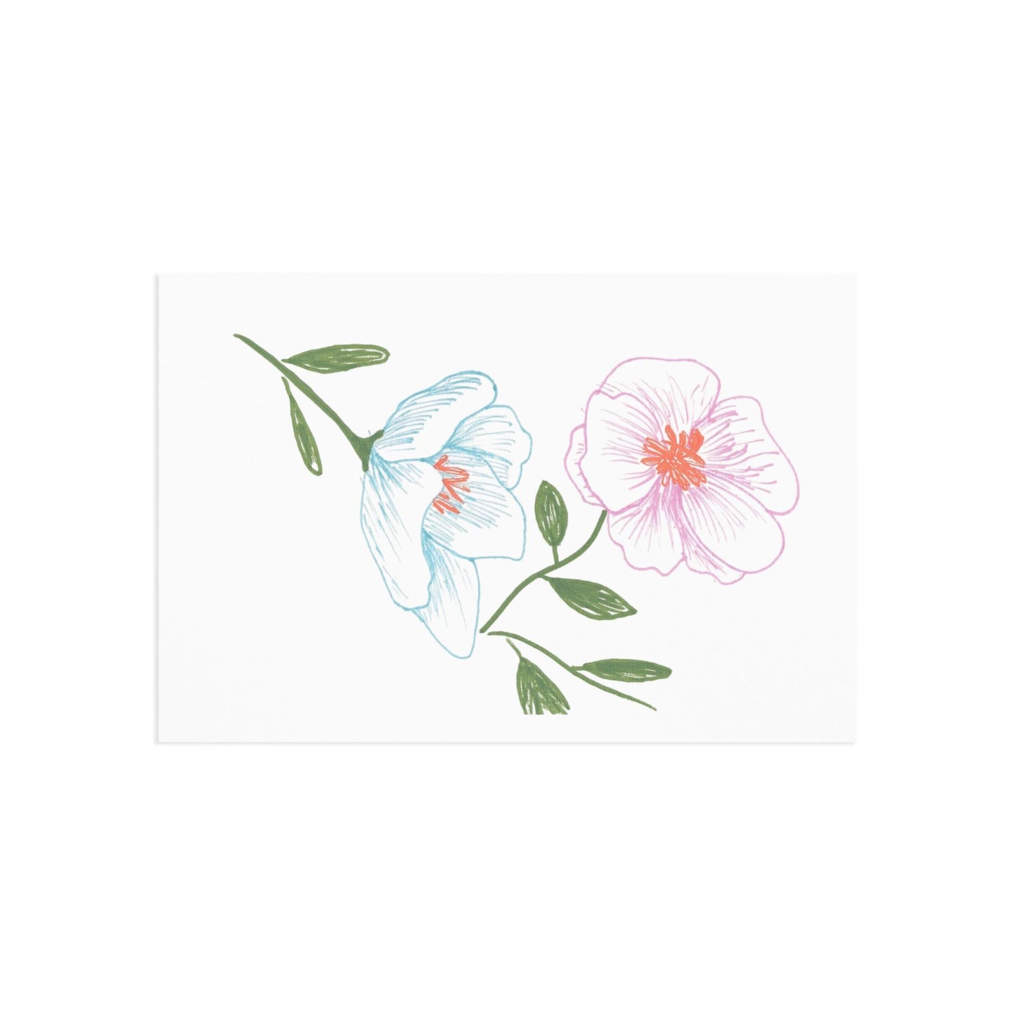 Fine Art Postcards with Ink Drawing of Two Cosmos Spring Flowers, Blue and Pink, Original Botanical Print