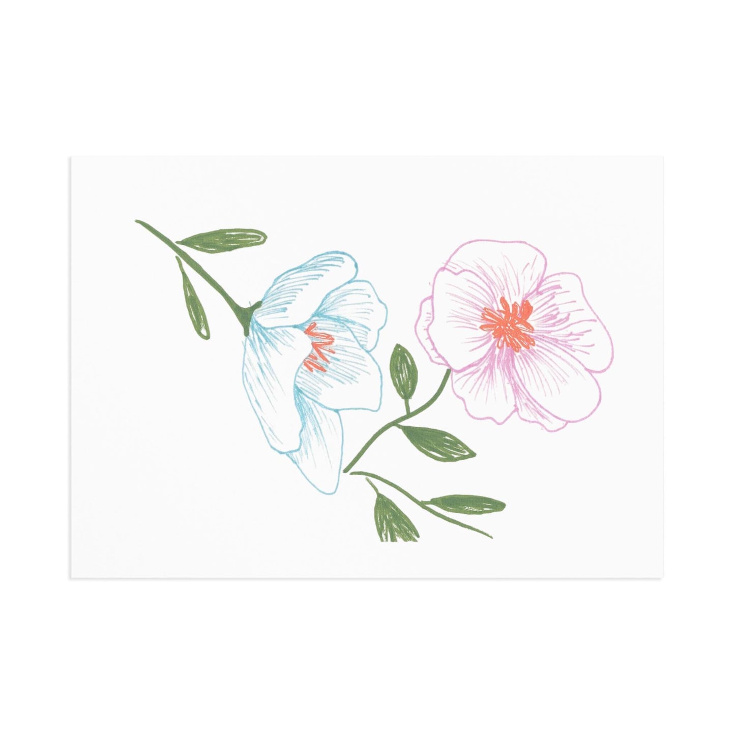 Fine Art Postcards with Ink Drawing of Two Cosmos Spring Flowers, Blue and Pink, Original Botanical Print