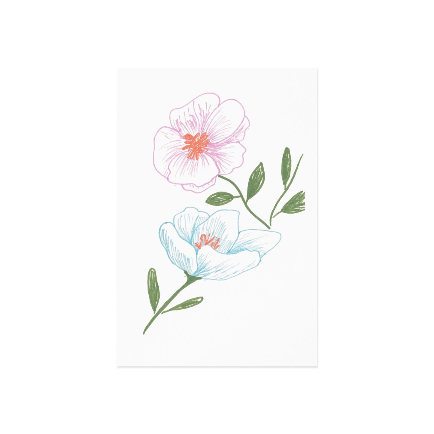 Fine Art Postcards with Ink Drawing of Two Cosmos Spring Flowers, Blue and Pink, Original Botanical Print