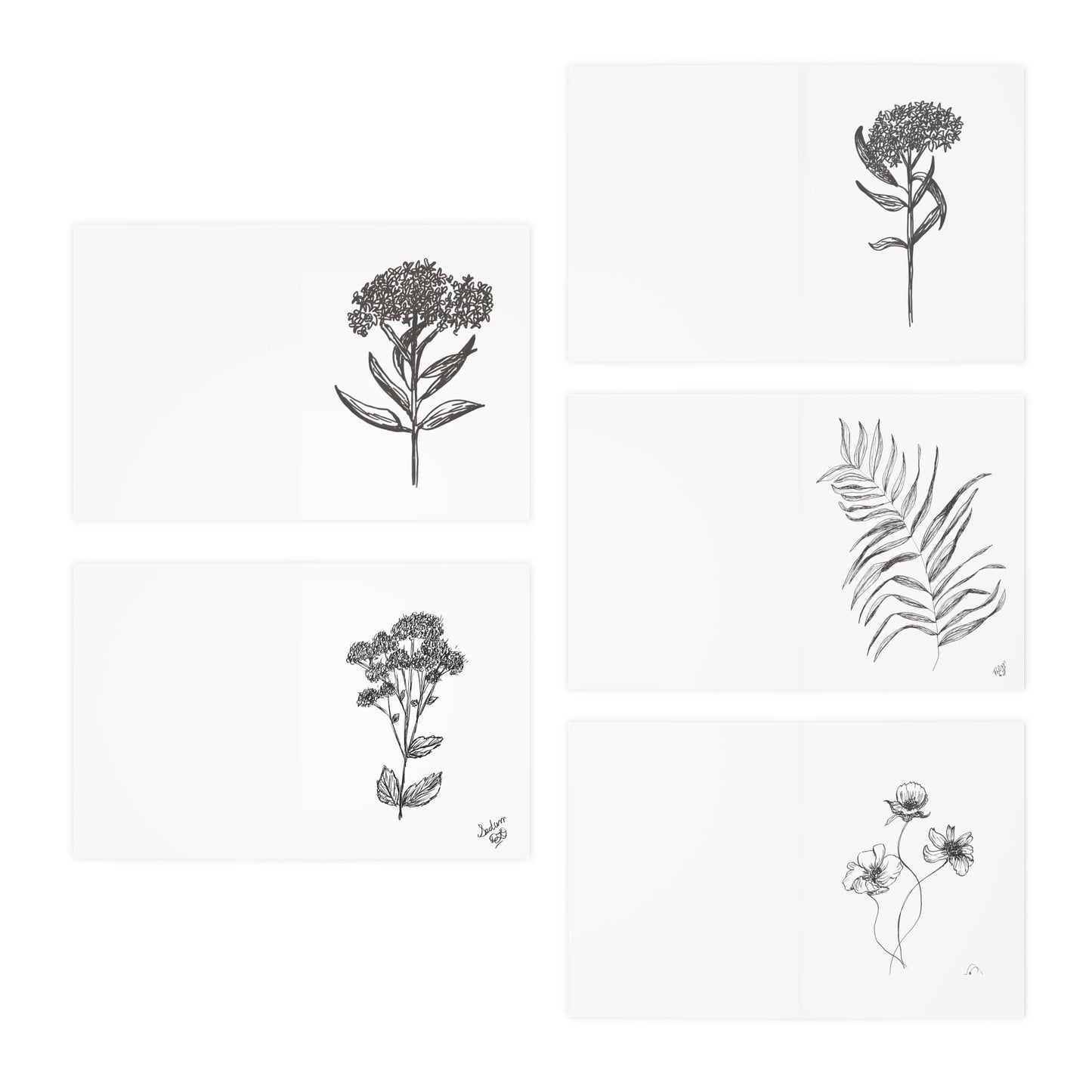 Greeting Card Set, Botanical Art, Garden Line Drawings, 5 Pack, Plant Illustrations, Floral Note Cards, Minimalist Ink Designs