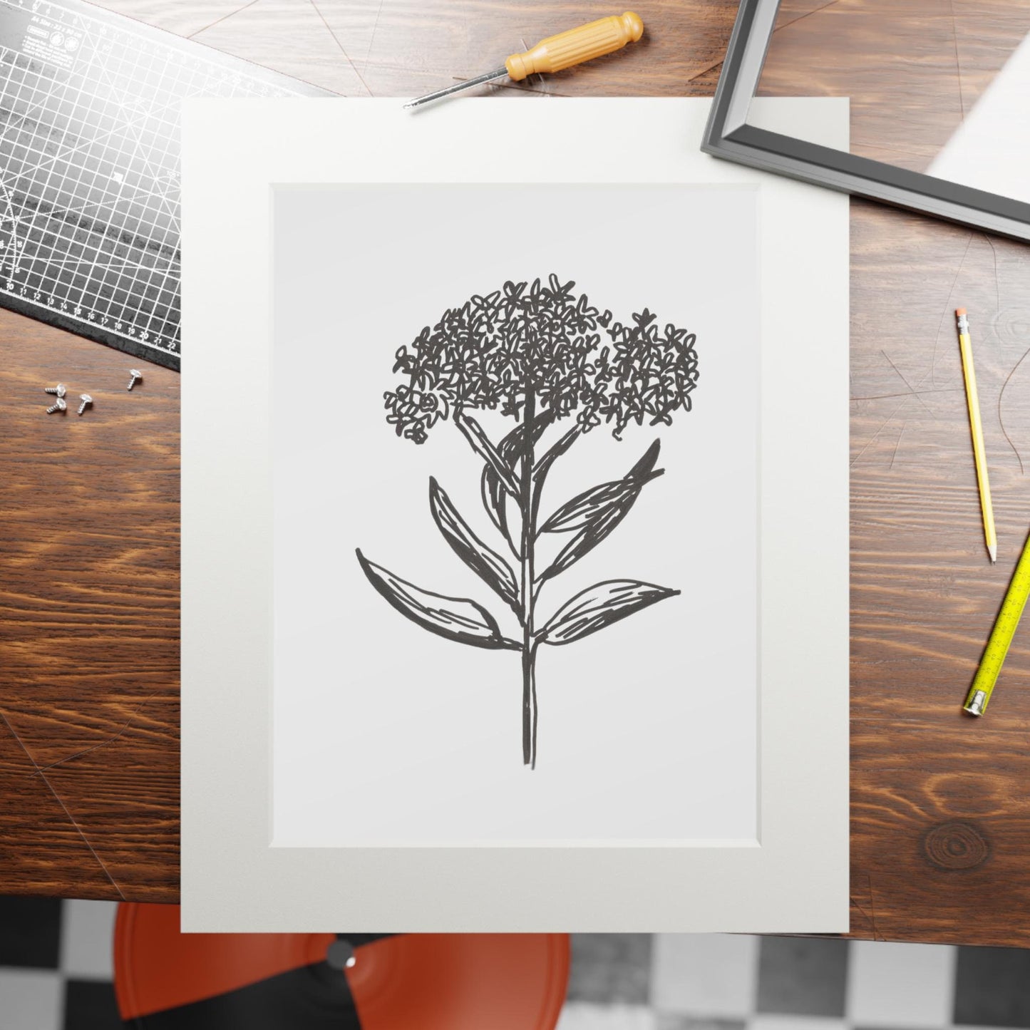 Fine Art Prints (Passepartout Paper Frame)of Hand Ink Drawing in Pen of Milkweed Praire Plant for Minarch Butterflies of American Midwest