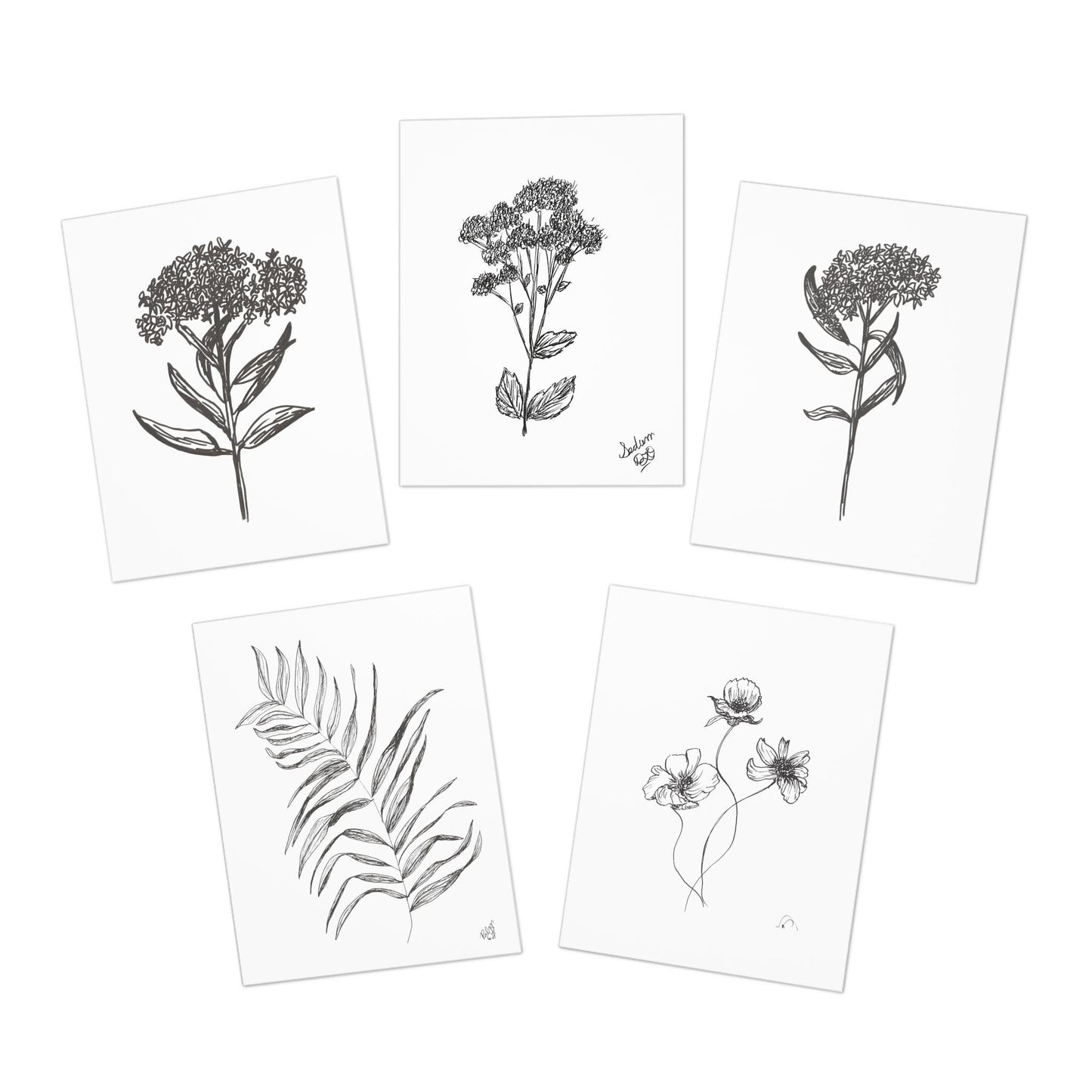 Greeting Card Set, Botanical Art, Garden Line Drawings, 5 Pack, Plant Illustrations, Floral Note Cards, Minimalist Ink Designs