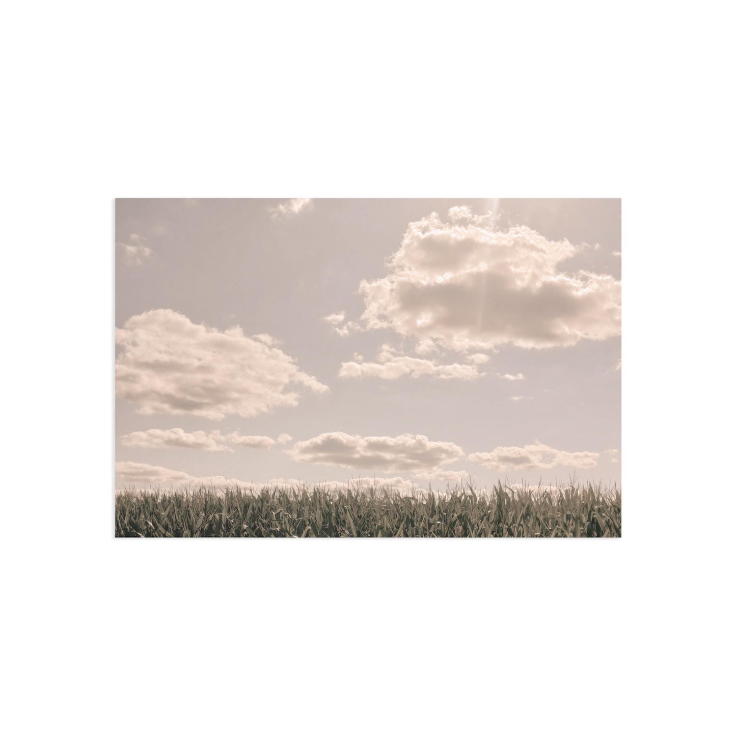 Postcards, Illinois Farmland Sky at End of Harvest, Rural Country Life Nature Photo, Skyscape Clouds, Art Print Stationery Set