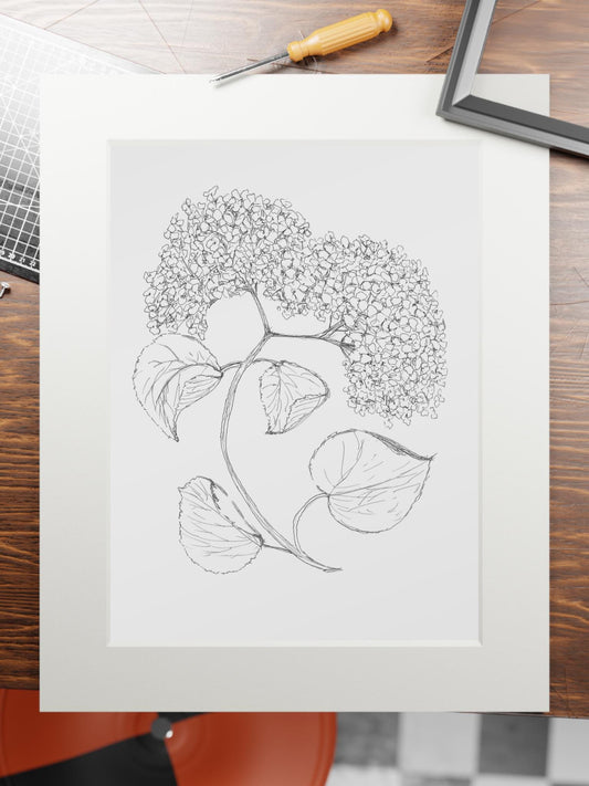 Art Print, Hydrangea Flower Ink Calligraphy, Botanical Wall Decor, Original Drawing, Passepartout Paper Frame, Fine Art Illustration, Home