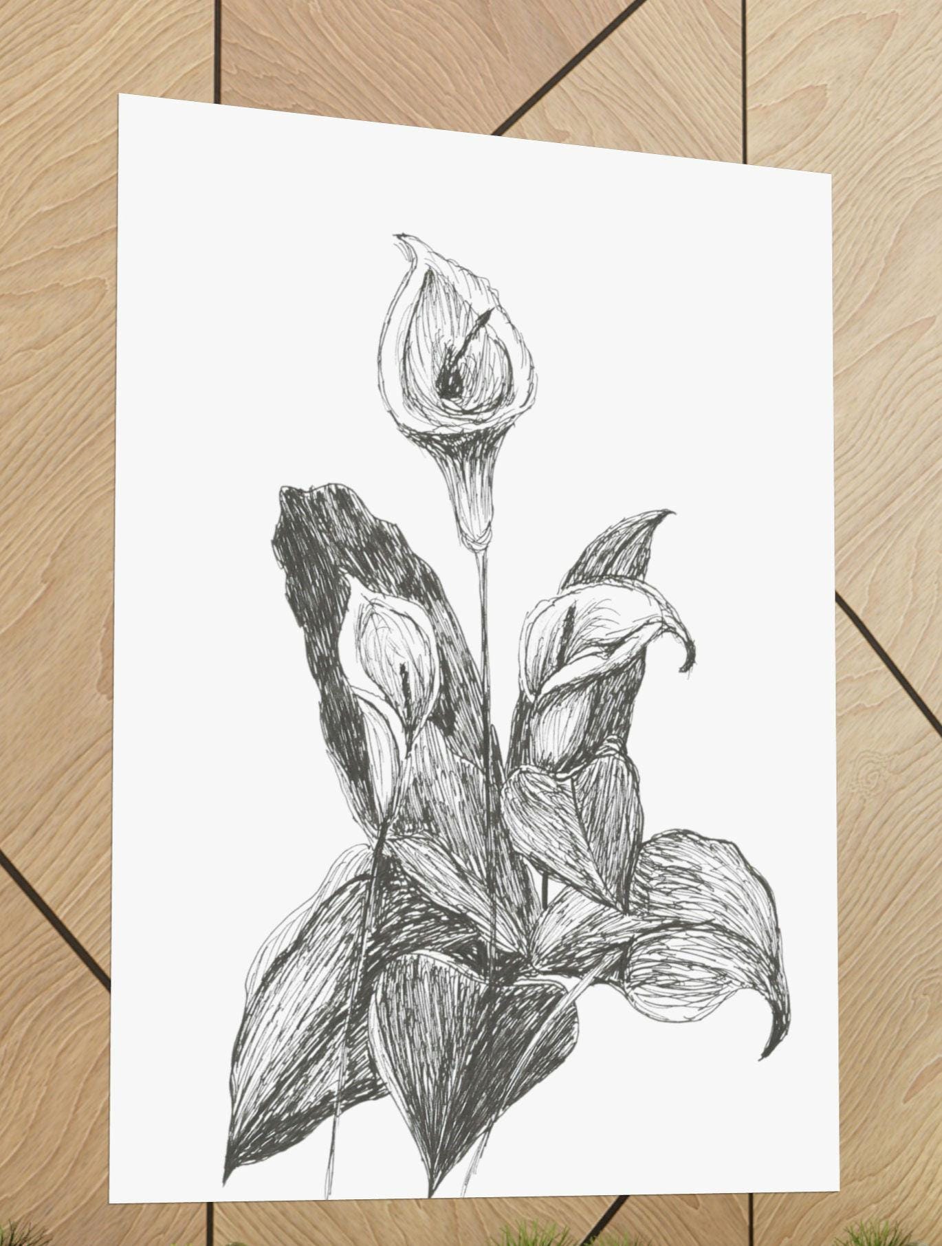 Original Hand Drawn Print Vertical Posters Jack in the Pulpit, Lily, Peace Lily, Ink Drawing, Floral Botanical Art, Pretty, Garden, Flowers